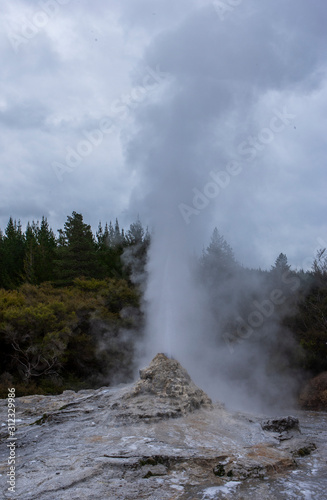 Geyser. . Rotorua New Zealand Thermal Park. Wai-o-tapu. Thermal wonderland. Volcanism.