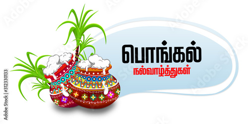 Happy Pongal religious festival of South India celebration background. illustration. happy pongal translate Tamil text.