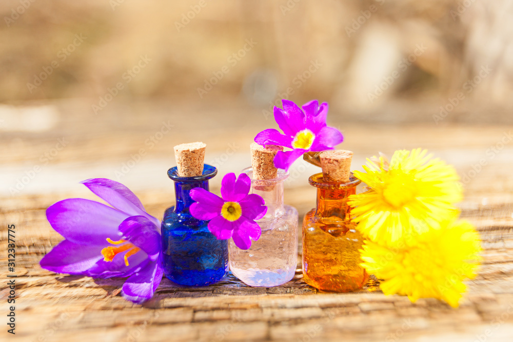 crocus essential oil in beautiful bottle on table crocus essential oil in beautiful bottle on table