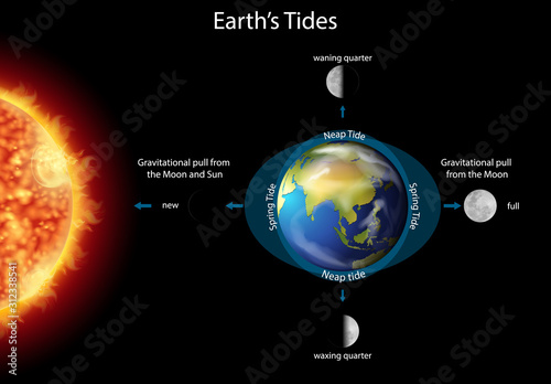 Diagram showing earth tides with earth and sun