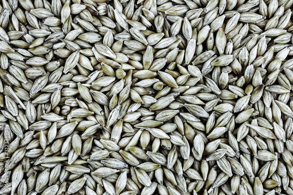 background basis harvest grain brewing gray pattern farm design country