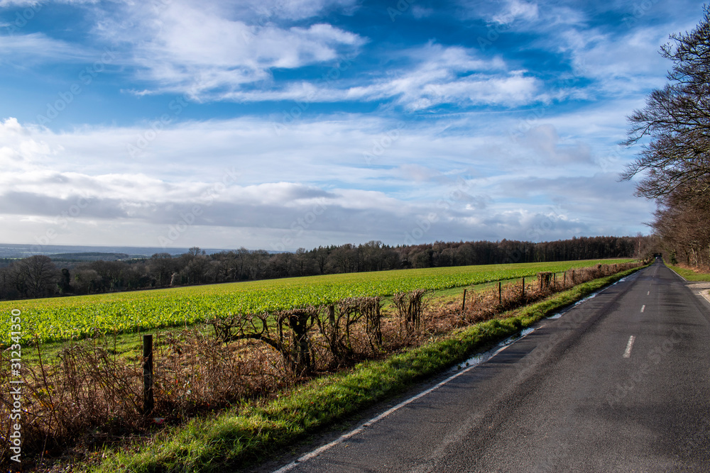 Obraz premium West Sussex England countryside on a clear and sunny December day. Looking from Selhurstpark Road toward Chichester and the south coast.