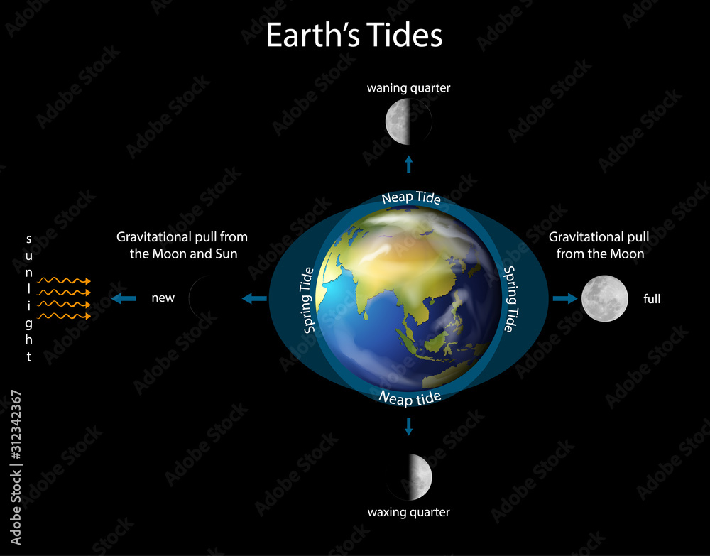 Diagram showing earth tides with earth and moon