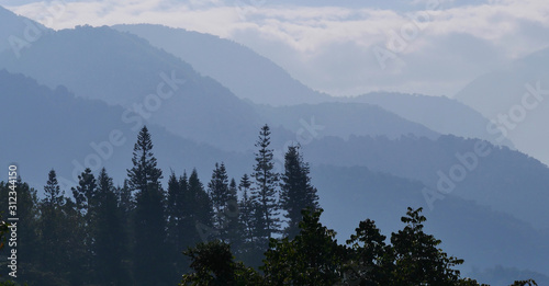 beautiful dark blue mountain landscape with fog and forest