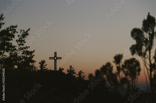 silhouette of man in front of tree