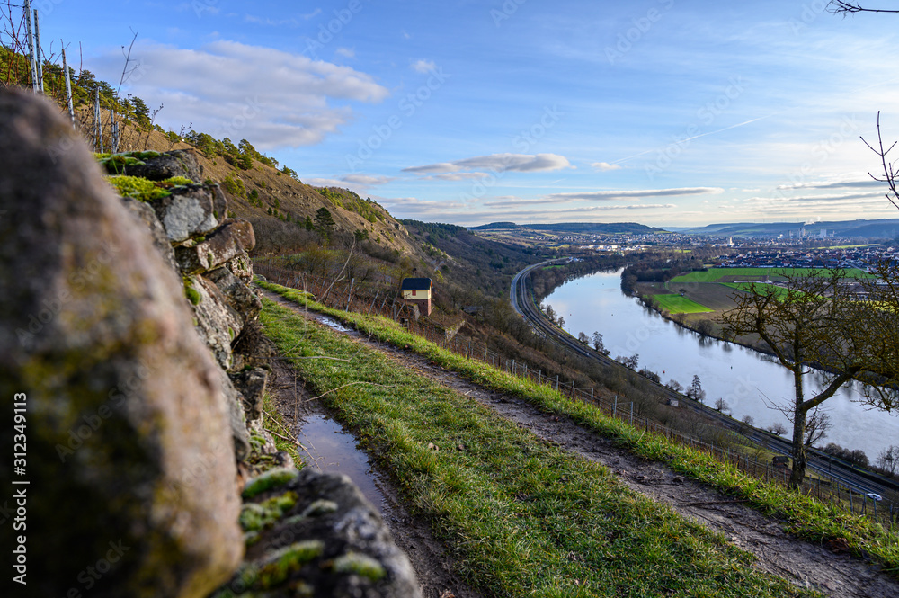 Fototapeta premium Wein am Main