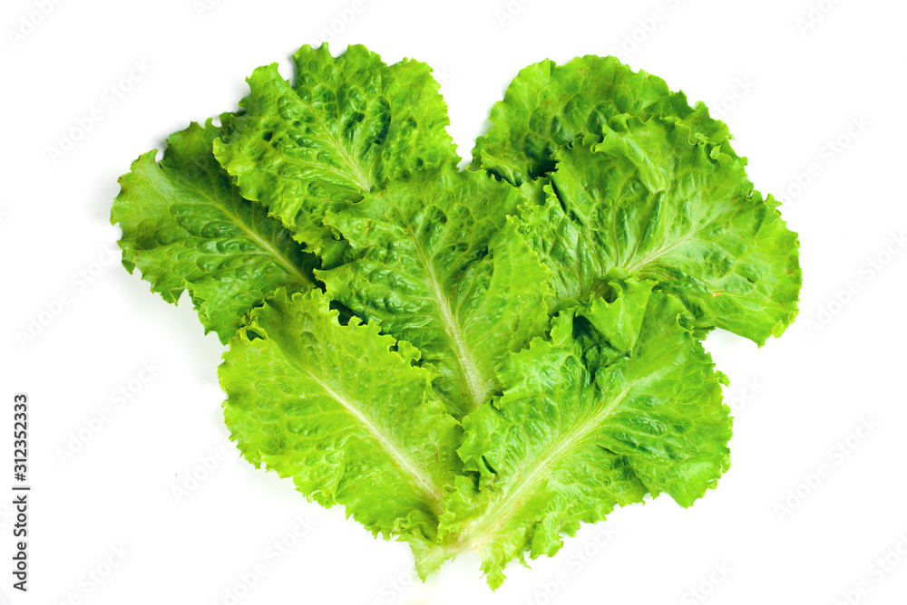 Fresh lettuce leaves are isolated on a white background. Proper nutrition, diet. Fresh lettuce leaves are isolated on a white background. Proper nutrition, diet.