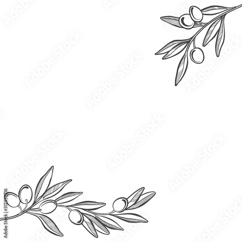 Olive background. Illustration with place for text, can be used creating card, menu or invitation card.