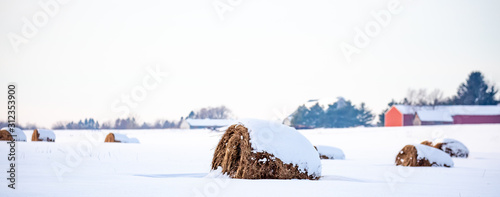 Round hay bales covered with snow in a farm field panoramic