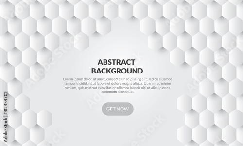 3D Abstract white geometric  shape from gray hexagon .Brick wall squares texture. Panoramic Solid Surface background.Creative design minimal modern wallpaper and banner . Vector Illustr