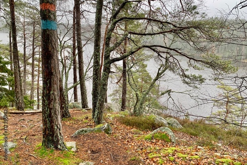Wallpaper Mural National Park Torontodigital.ca