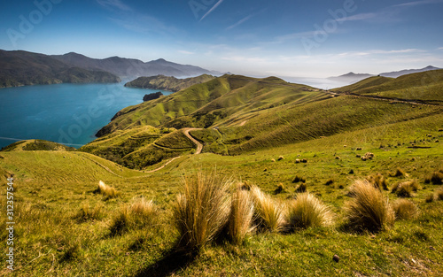 Wide angle panorama photo from French Pass in Marlborough Sounds. Beautiful bay in Tasman sea. Path and walkway in peninsula. photo
