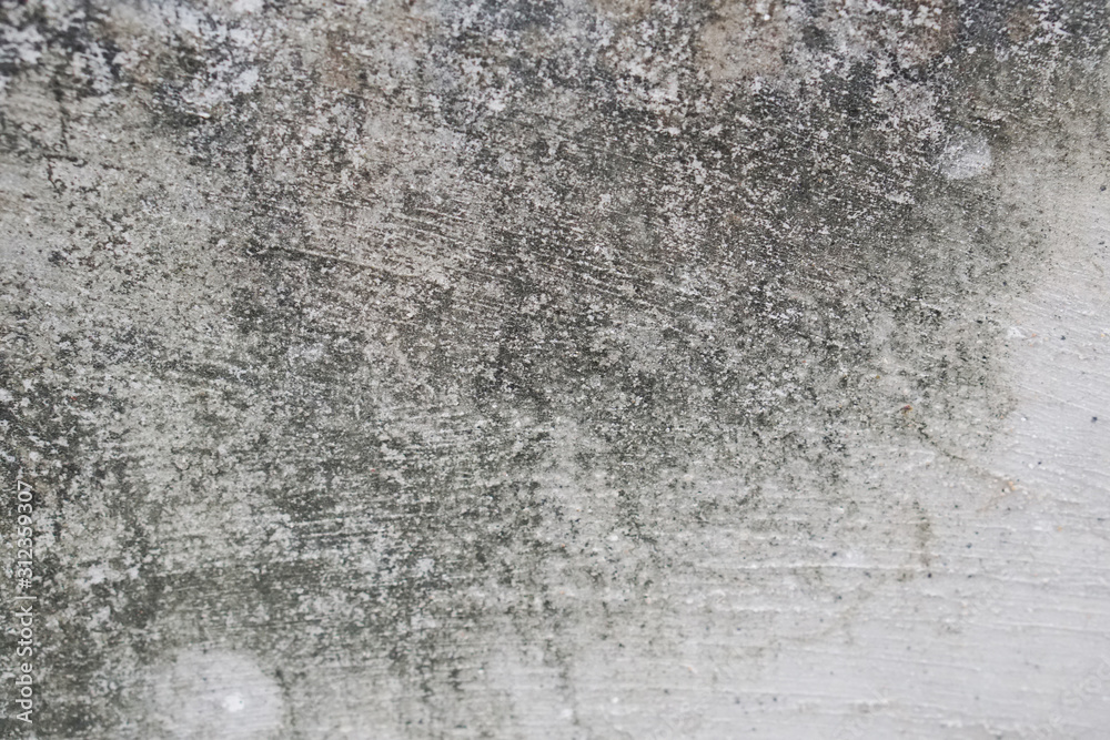 Closeup Texture abstract old wall background,cement floor Closeup Texture abstract old wall background,cement floor