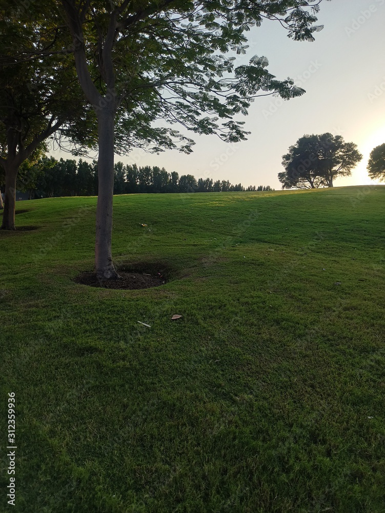 Obraz premium golf course