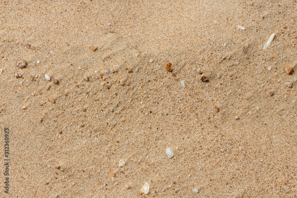 Beautiful horizontal texture of yellow sand with waves and shells is in the photo Beautiful horizontal texture of yellow sand with waves and shells is in the photo
