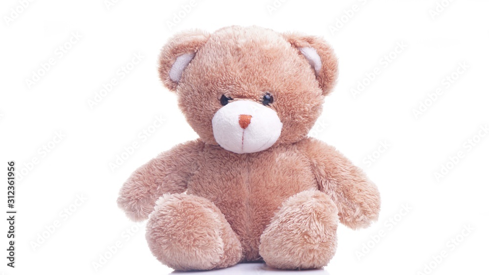 Obraz premium teddy bear isolated on white background