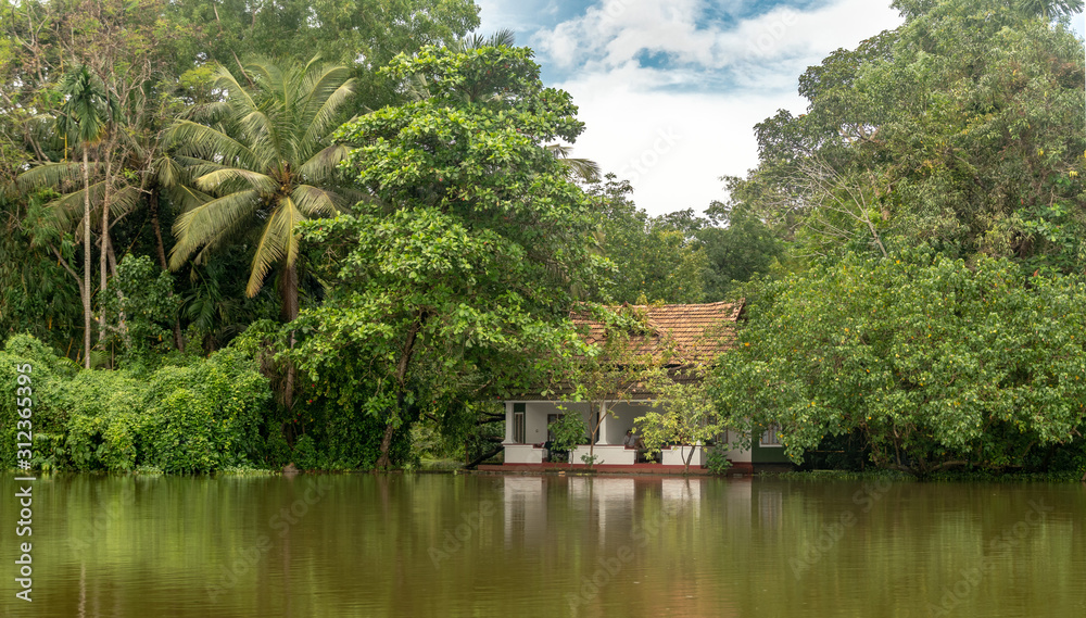 Alleppey Kerala India Backwaters with Palm Trees Alleppey Kerala India Backwaters with Palm Trees