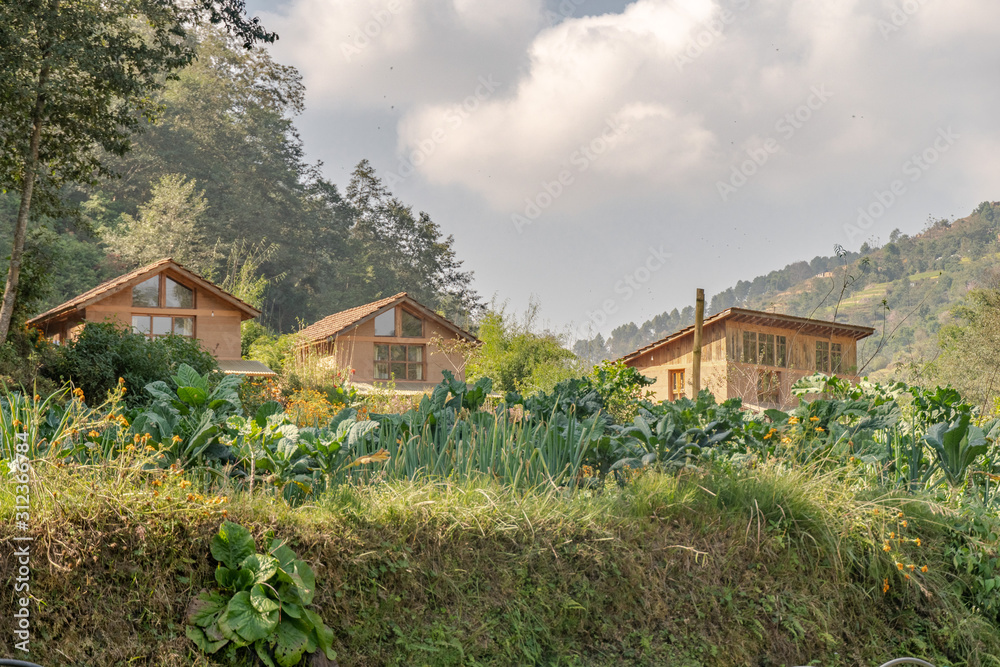 Homestays on Rural Farm with Cloudy Skies Homestays on Rural Farm with Cloudy Skies