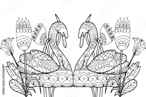 two swans with hand drawn flowers on a white background for coloring, vector illstrations
