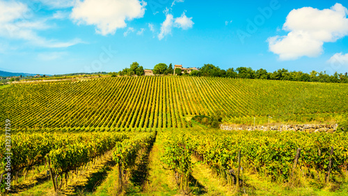 Gaiole in Chianti vineyards and panorama at sunset. Tuscany, Italy photo