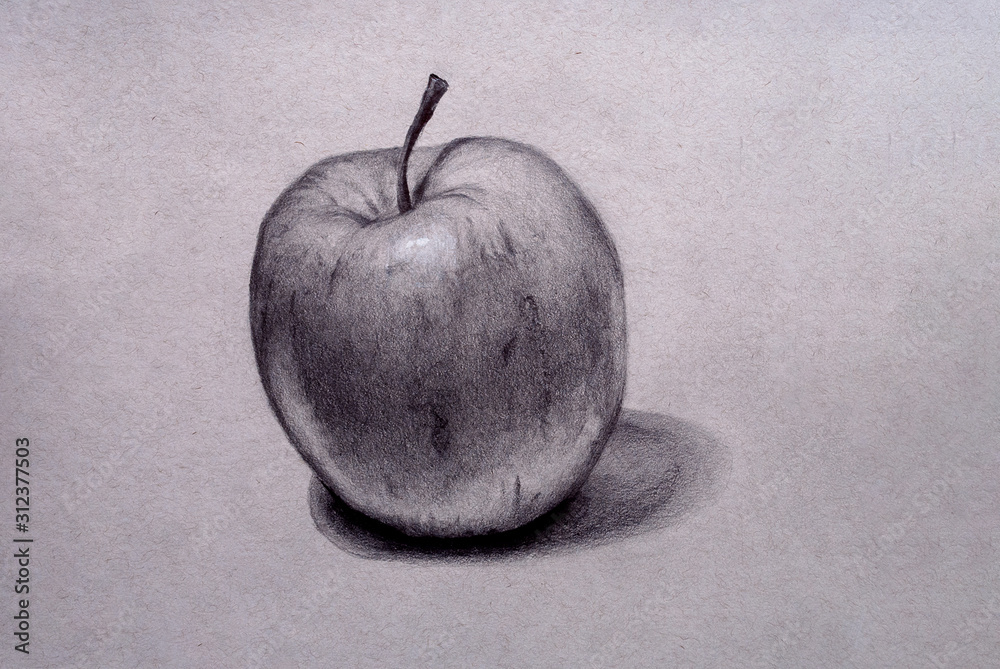 Illustrazione Stock Disegno a matita di mela, a mano libera in bianco e nero  | Adobe Stock