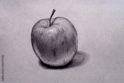 Disegno a matita di mela, a mano libera in bianco e nero photo