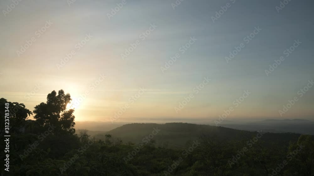 Trees Silhouettes and fog at Sunrise in Brazil Trees Silhouettes and fog at Sunrise in Brazil