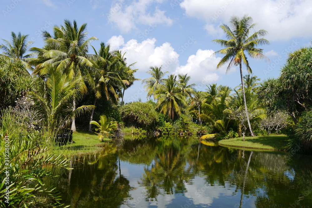 Palmengarten in Thailand mit See