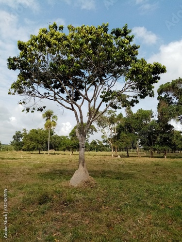 Aire libre