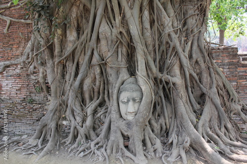 Ayutthaya - Thailand - Tempel