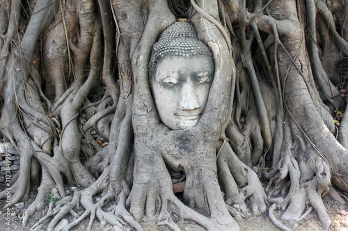 Ayutthaya - Tempel - Thailand