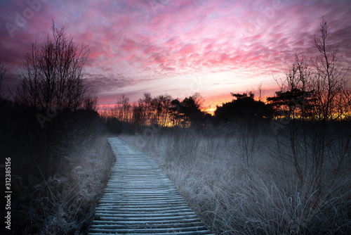 sunrise in Limburg. Wooden pathway through national park de groote peel on the border between Limburg and North Brabant in the Netherlands. Winter landscape. photo