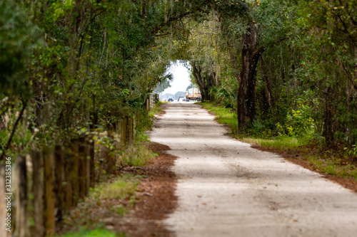 Gravel road through the wilderness in Florida