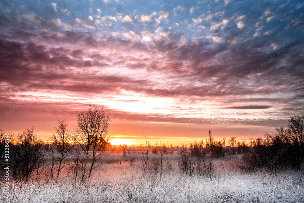 De groote peel North brabant, the Netherlands. Sunrise in winter at National park Groote Peel on the border between the provinces of Limburg and North Brabant, the Netherlands. Frosty fields of grass.