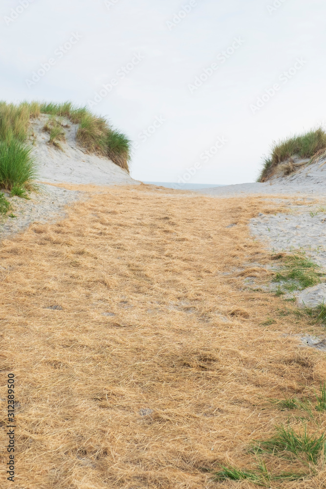 Dünenaufgang am Strand auf Ameland, einer friesischen Insel