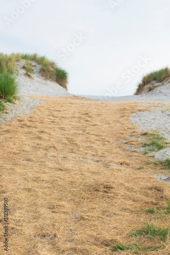 Dünenaufgang am Strand auf Ameland, einer friesischen Insel