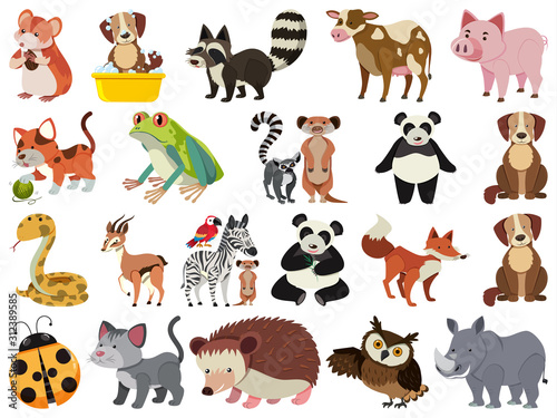 Set of isolated objects theme animals