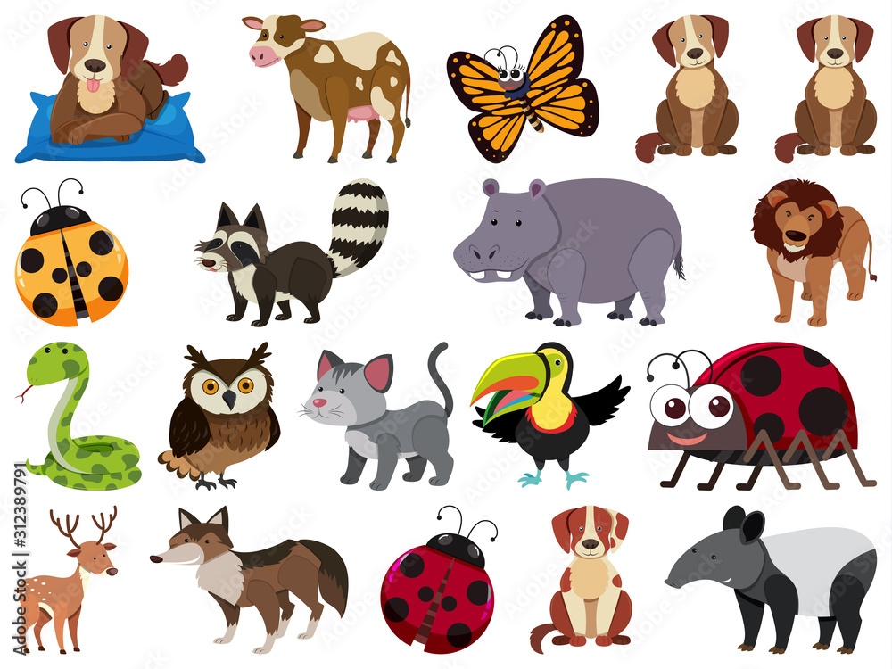 Fototapeta premium Set of isolated objects theme wild animals
