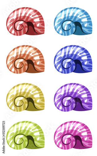 Set of seashells in different colors