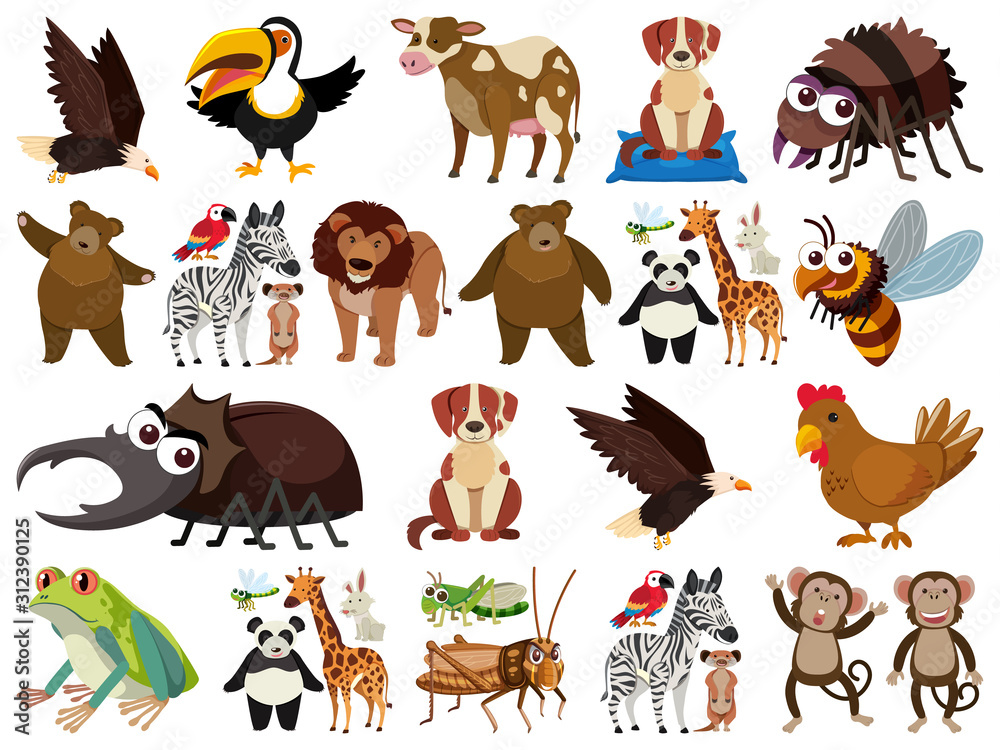 Fototapeta premium Set of isolated objects theme animals