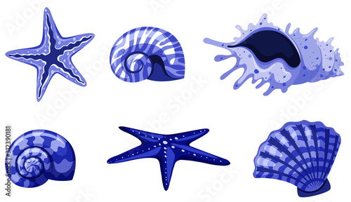 Set of isolated seashells in blue color