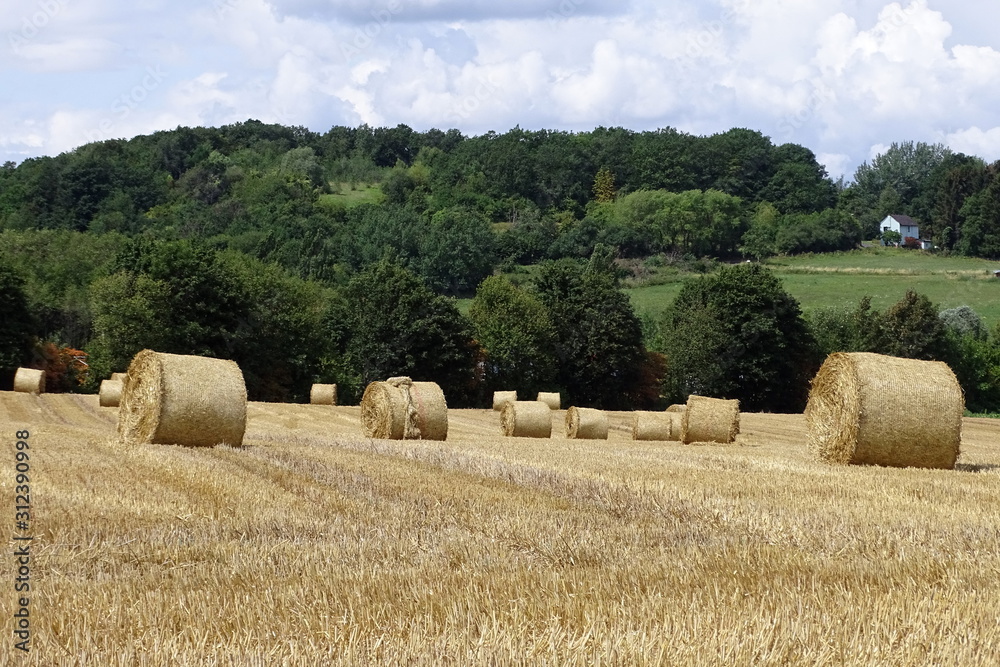 Strohballen auf dem Feld