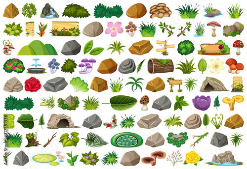 Set of isolated objects theme - nature
