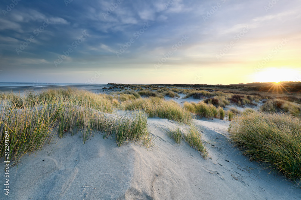 sunrise over sand dunes by north sea coast sunrise over sand dunes by north sea coast