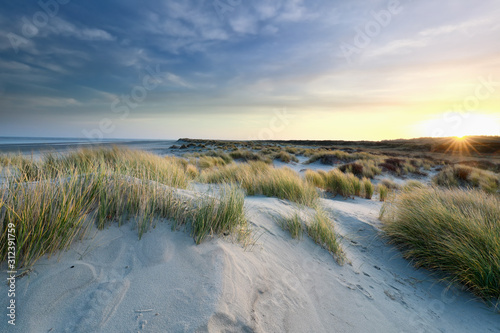 sunrise over sand dunes by north sea coast