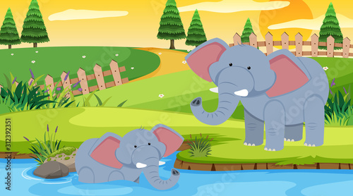 Scene with elephants in the park