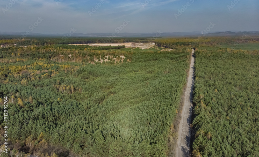 Fototapeta premium road in the middle of the forest