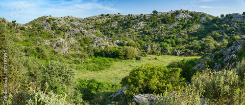 Pantokrator, rocks covered with alpine vegetation, mountain landscape.