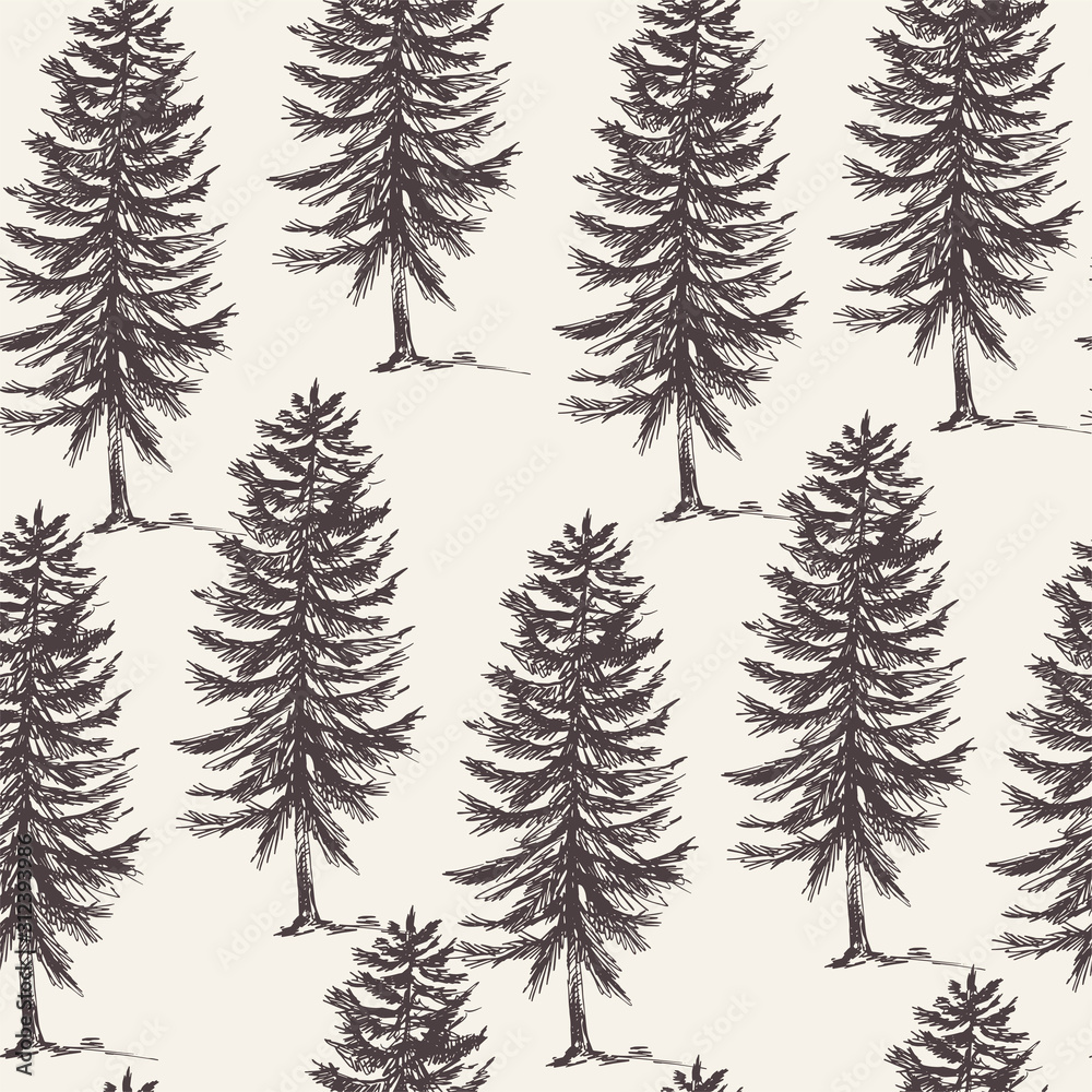 Vector natural forest seamless pattern of evegreen trees