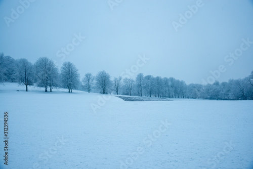 Wakefield Park in the Snow © Scott Dunwoodie